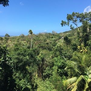 Meet your Posher, Levi